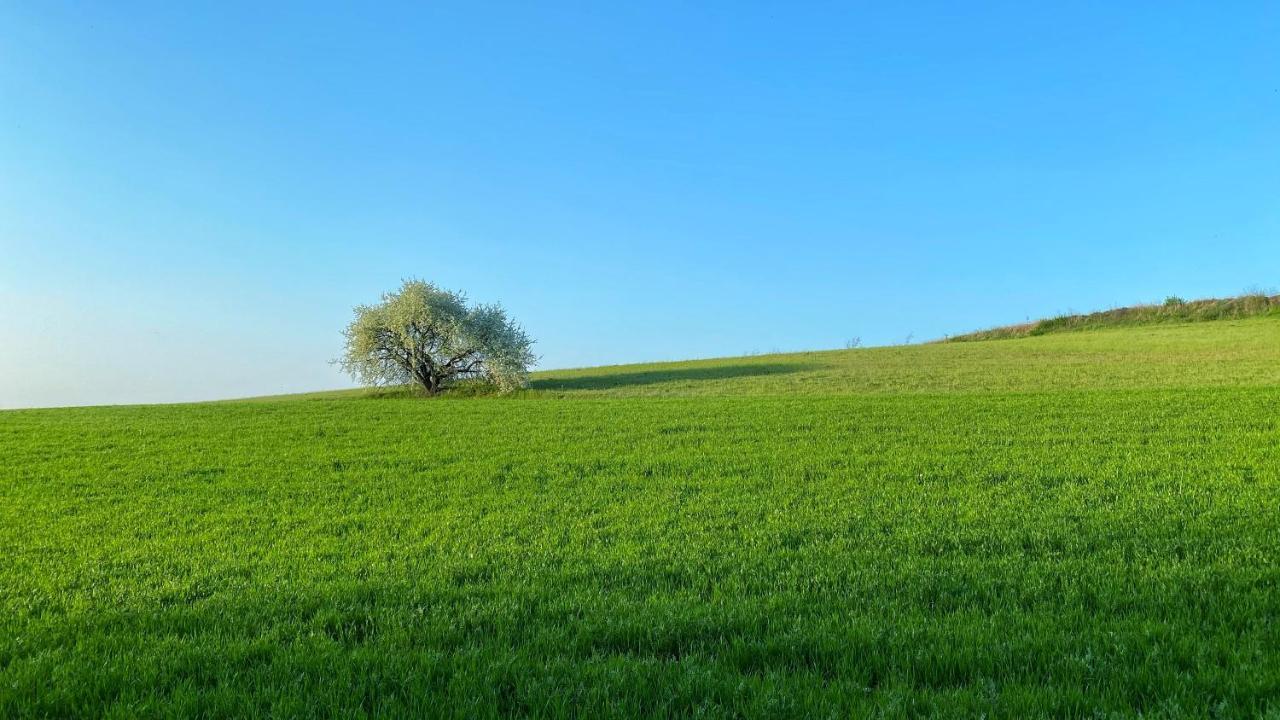 Agriturismo Albana Кастільйоне-делле-Стів'єре Екстер'єр фото