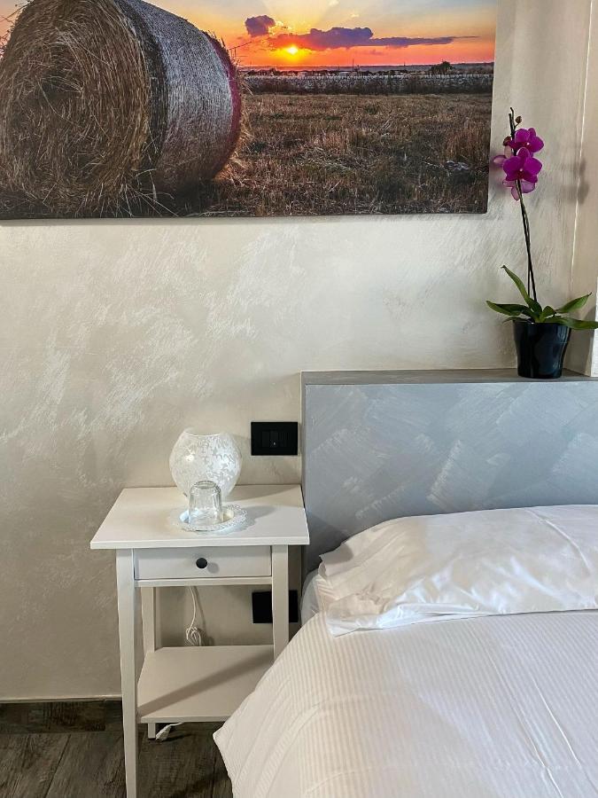 Agriturismo Albana Кастільйоне-делле-Стів'єре Екстер'єр фото